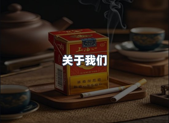 专业团队